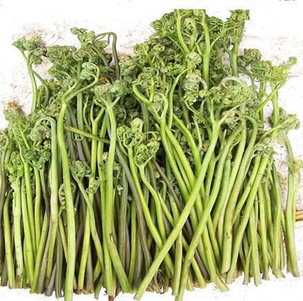 Ұ�����衪ާ��